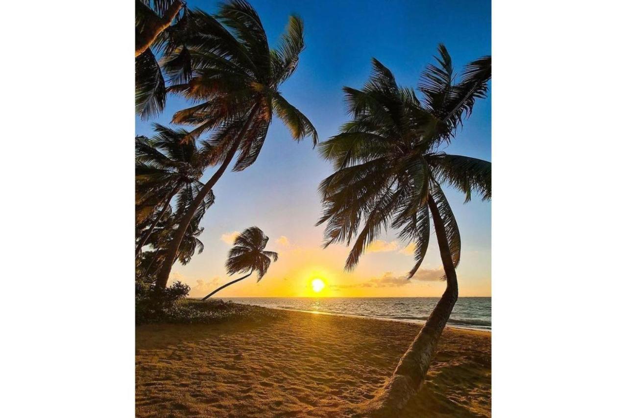 Mare Suites Patacho Pôrto de Pedras Exteriör bild